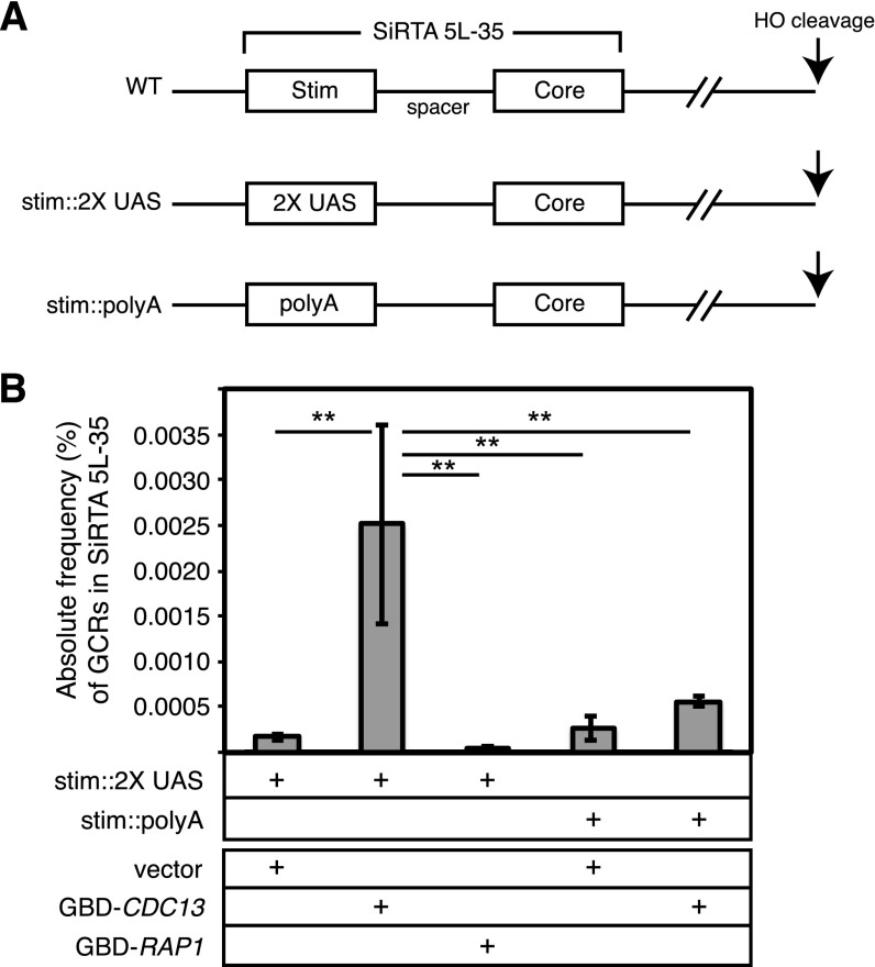 FIG 6