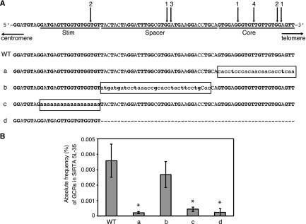 FIG 2