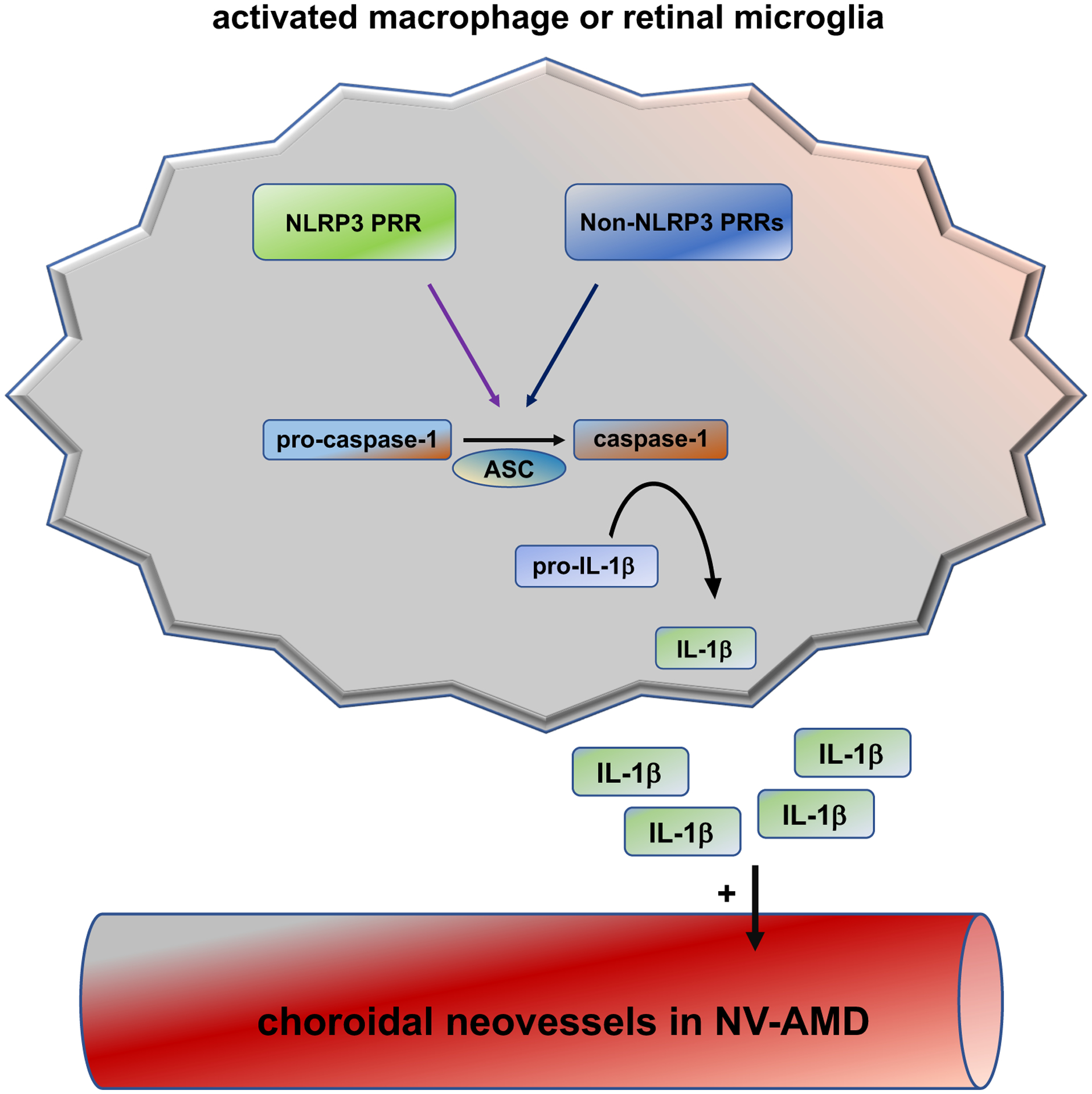 Figure 1: