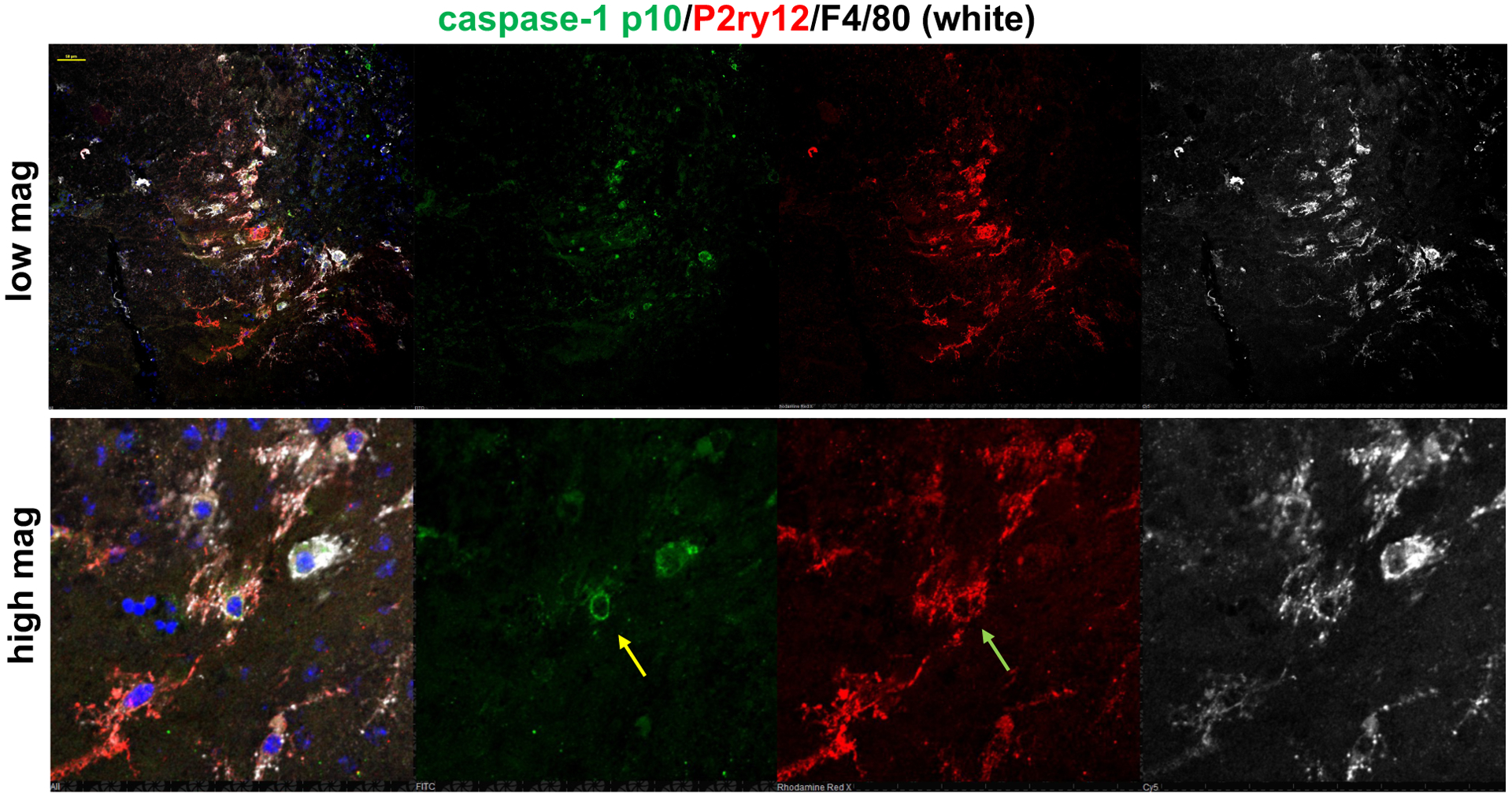 Figure 2: