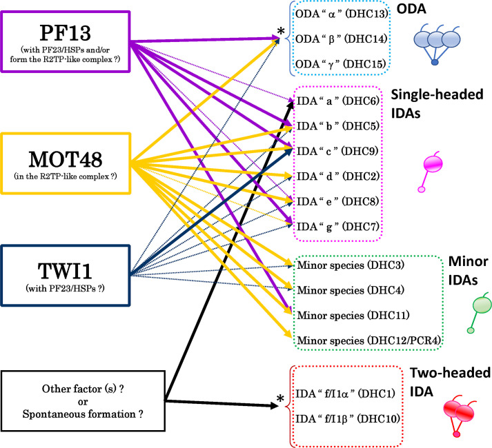 Fig 6