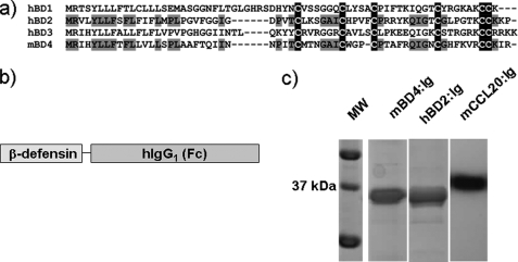 FIGURE 1.