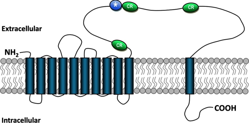 FIGURE 5.