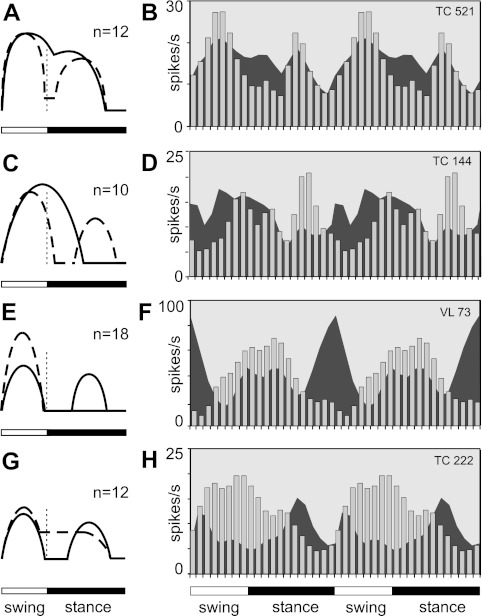 Fig. 12.