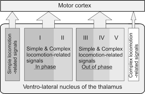 Fig. 13.