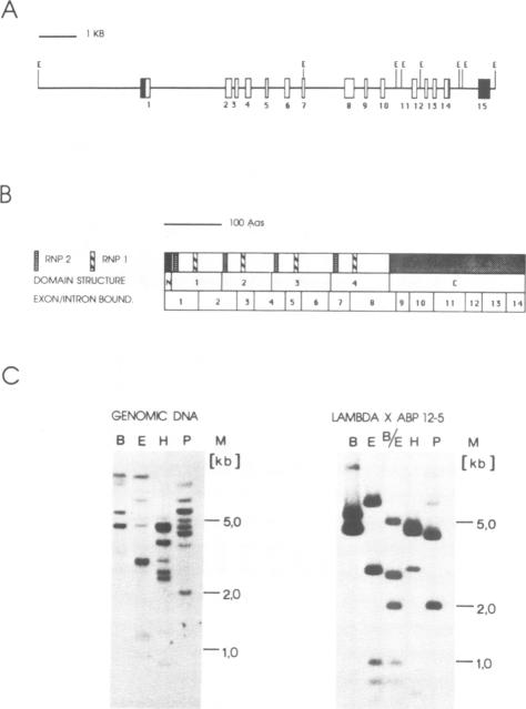 Fig.2