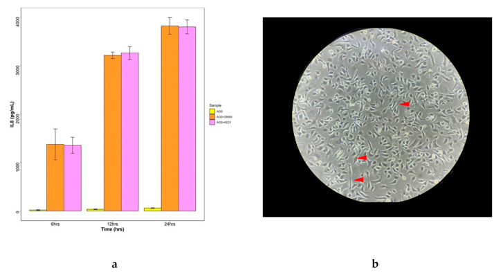 Figure 7