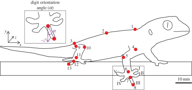 Figure 1.