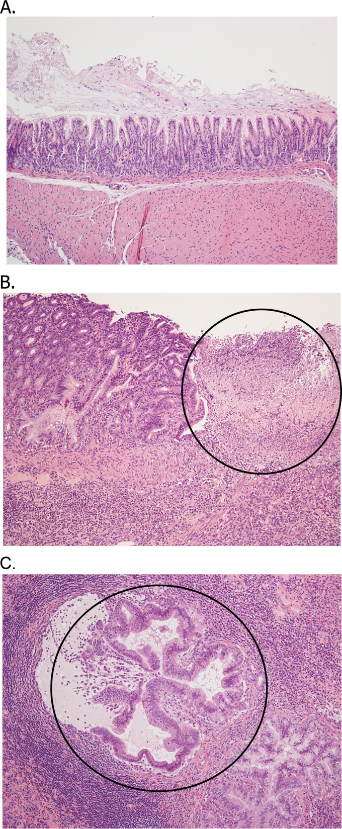 FIG 3