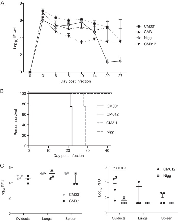 FIG 2