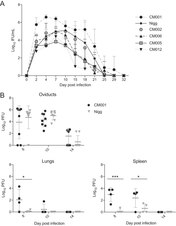 FIG 1