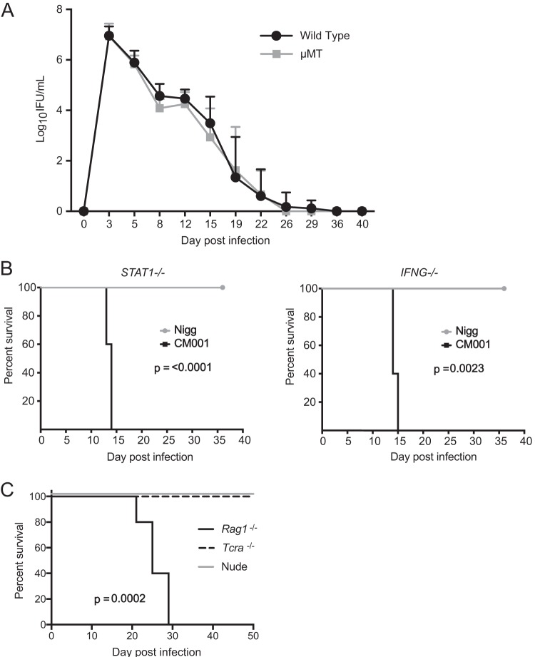 FIG 3