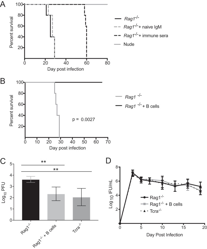 FIG 4