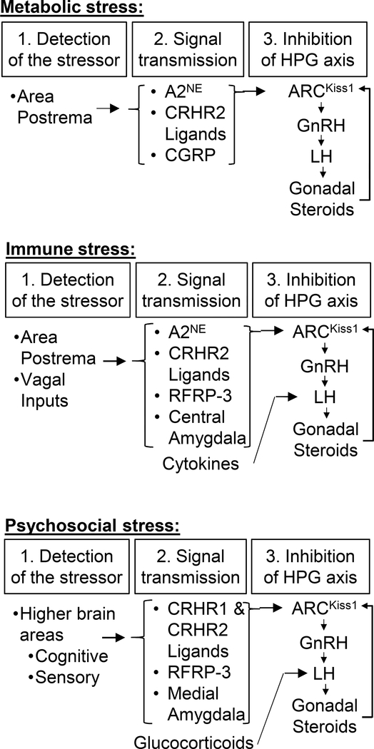 Figure 2: