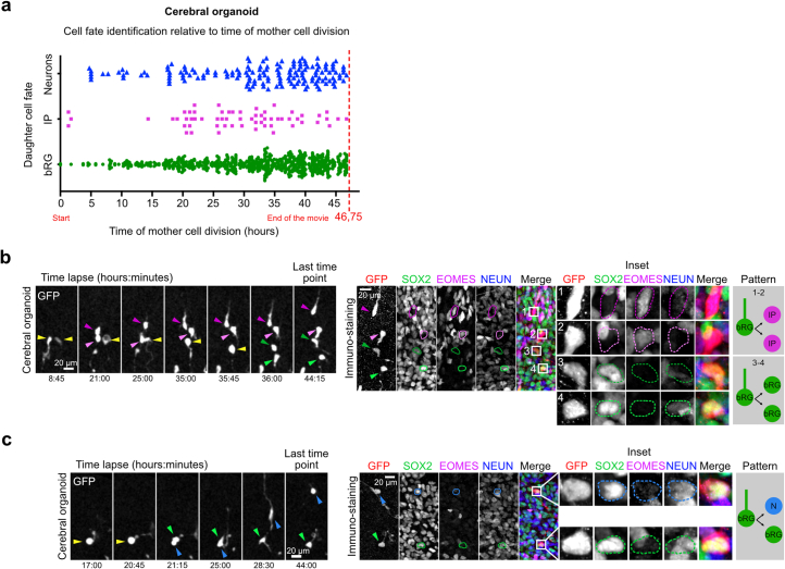 Extended Data Fig. 2