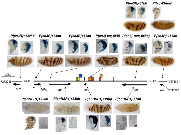 Fig. 3.