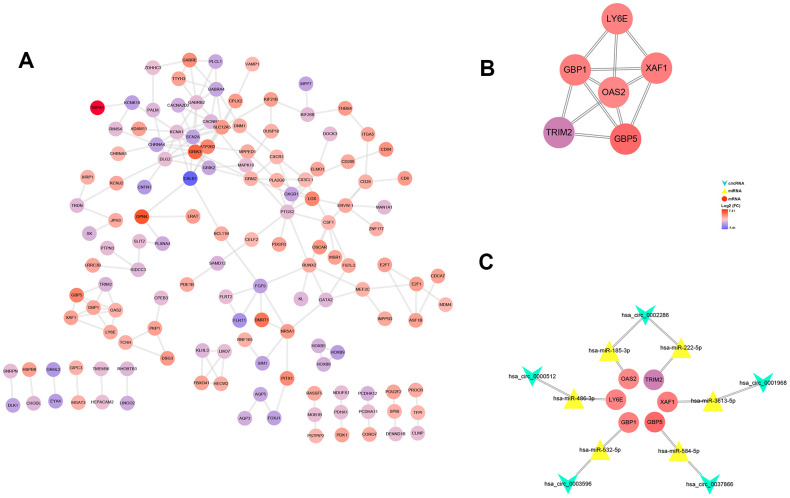 Figure 7