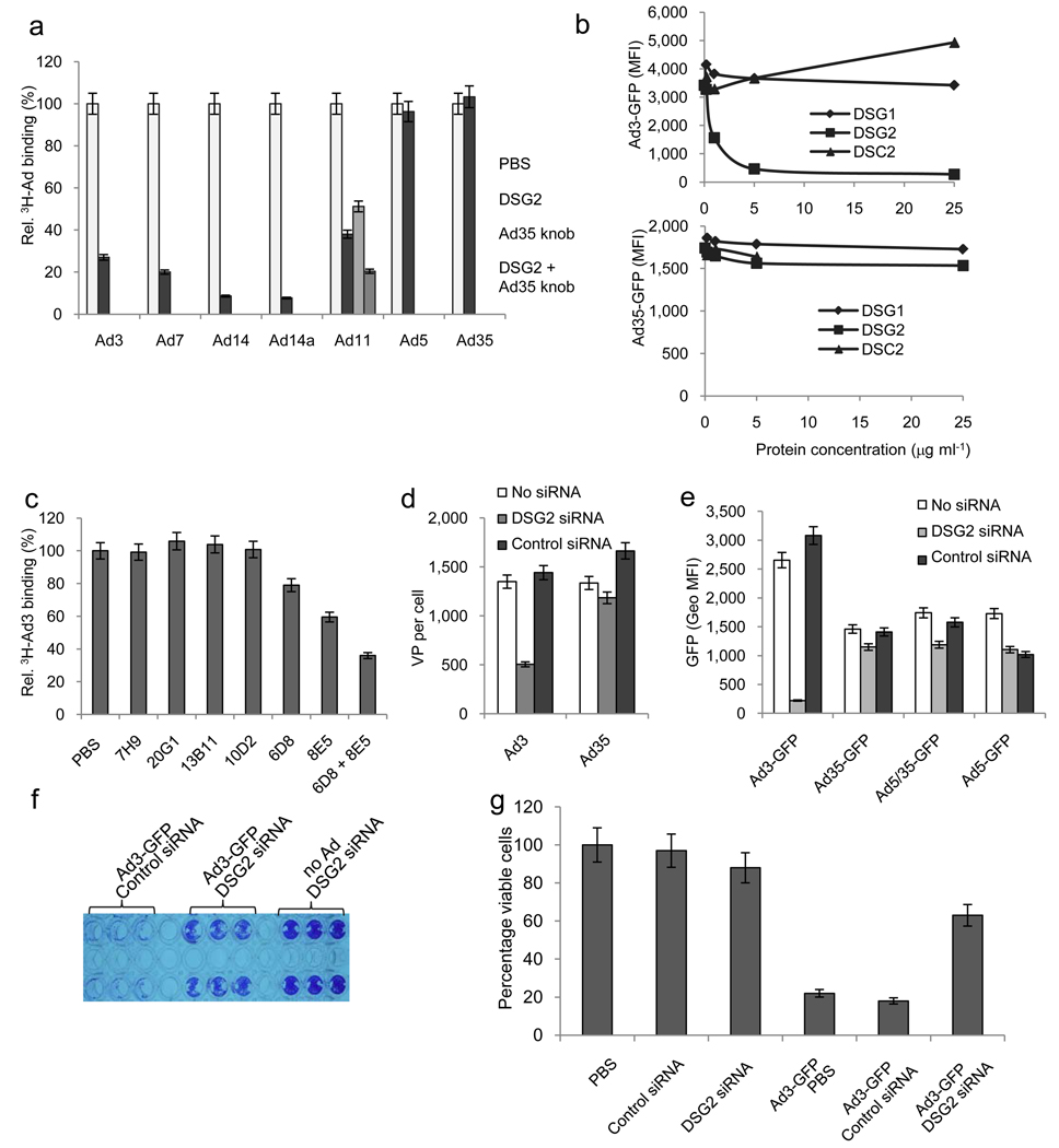 Fig.2