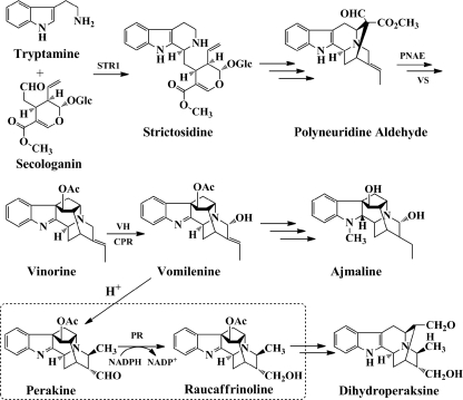 FIGURE 1.