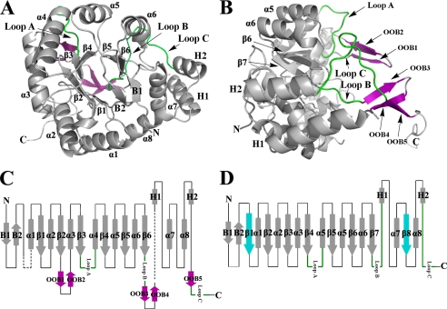 FIGURE 2.