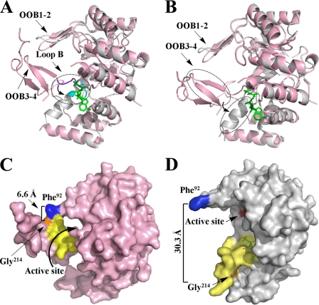 FIGURE 4.