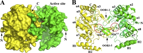 FIGURE 3.