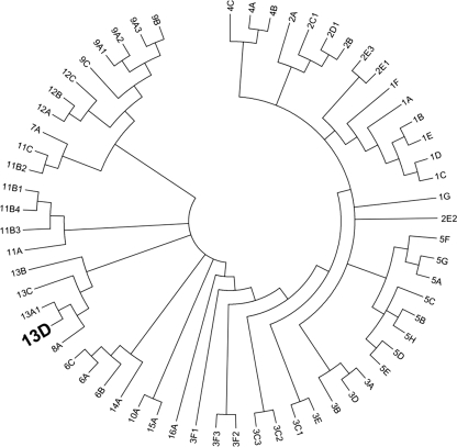 FIGURE 7.