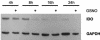 FIG. 5.