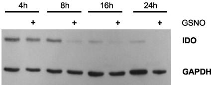 FIG. 5.