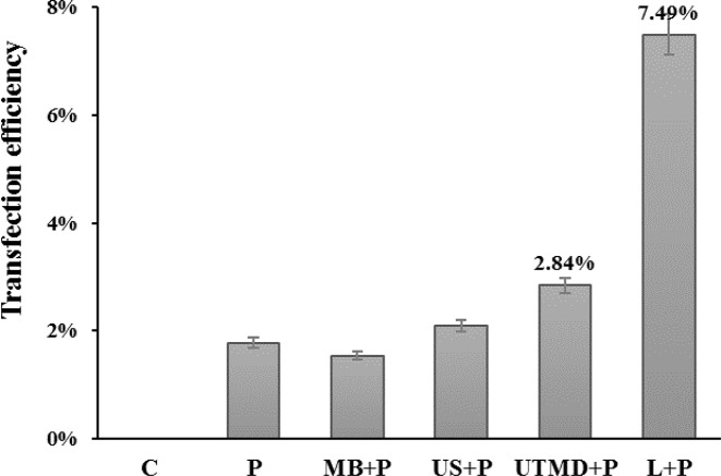 Figure 6