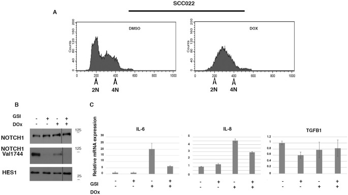 Figure 7.