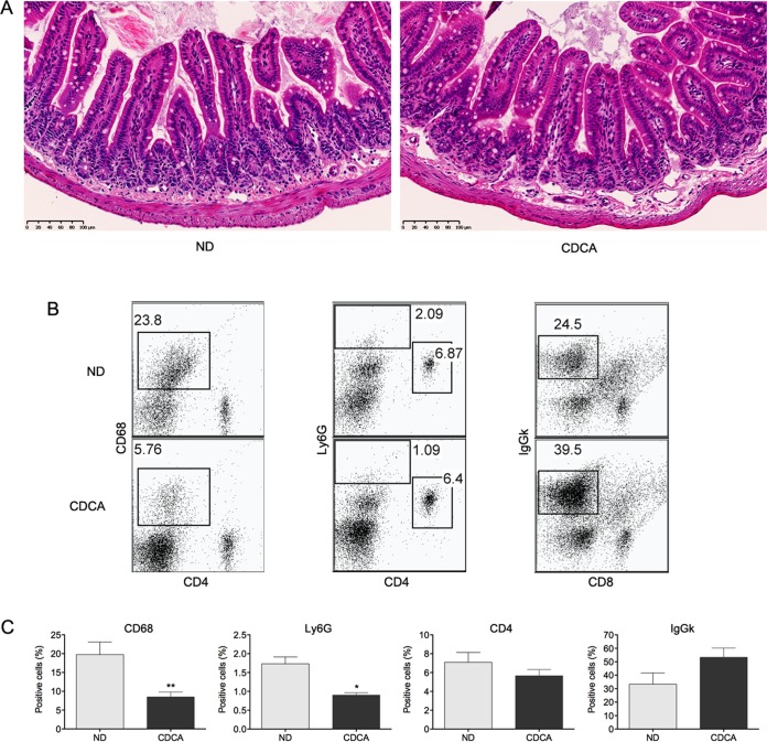 FIG 4