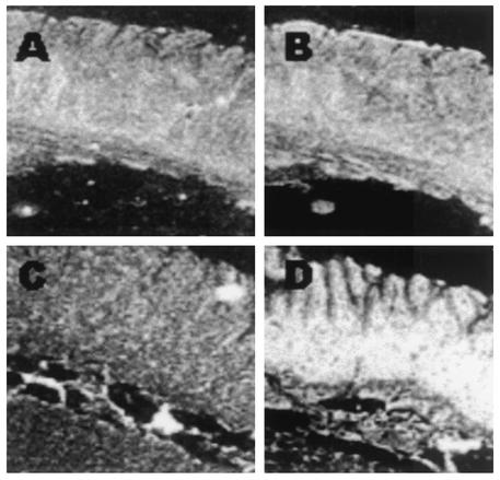 FIG. 7.