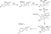 Fig. 13