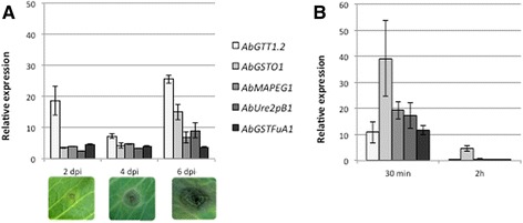 Fig. 2