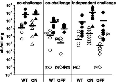 FIG. 6.