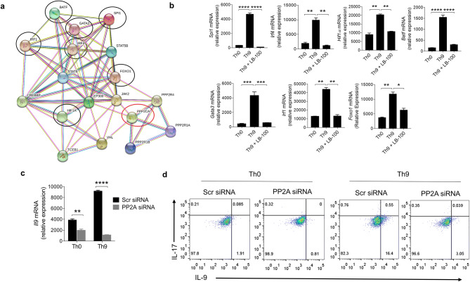 Proteome analysis revealed the essential functions of protein ...