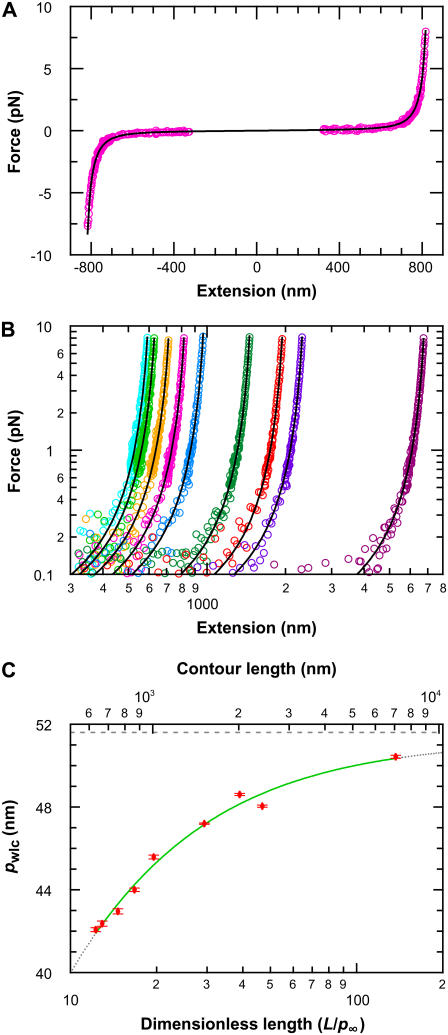 FIGURE 9