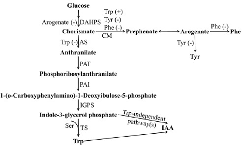 Fig. (2)