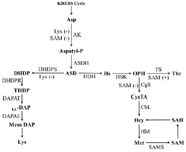 Fig. (1)