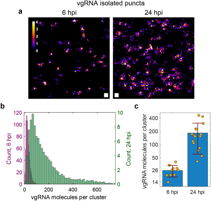 Extended Data Fig. 3.