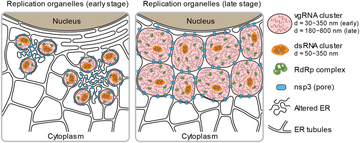 Fig. 6: