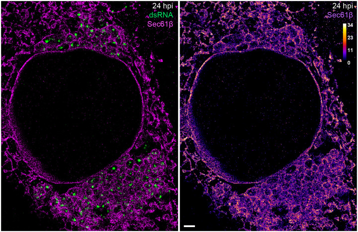 Extended Data Fig. 6.