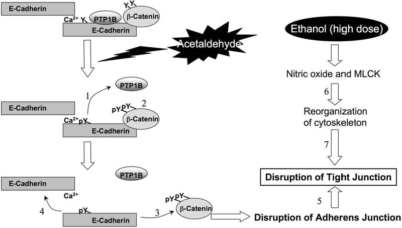 Fig. 2: