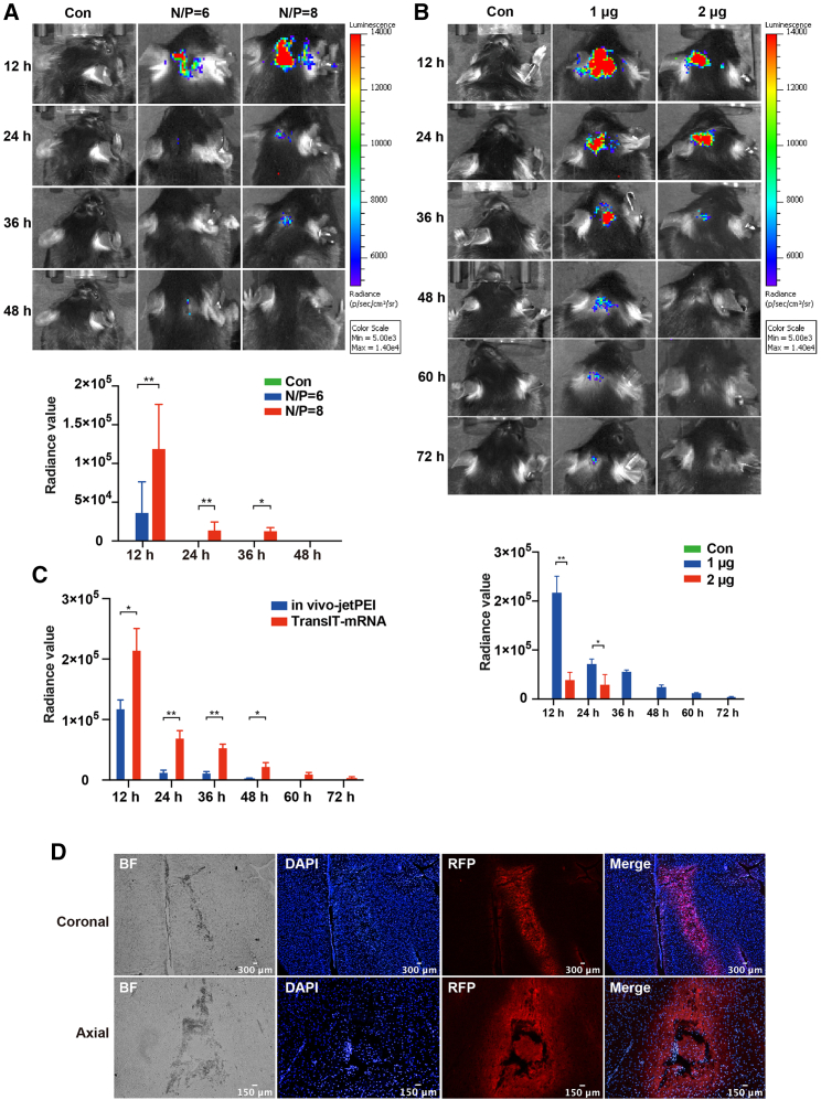 Figure 2