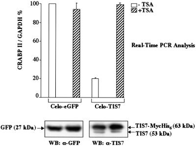 graphic file with name cdf461f7.jpg