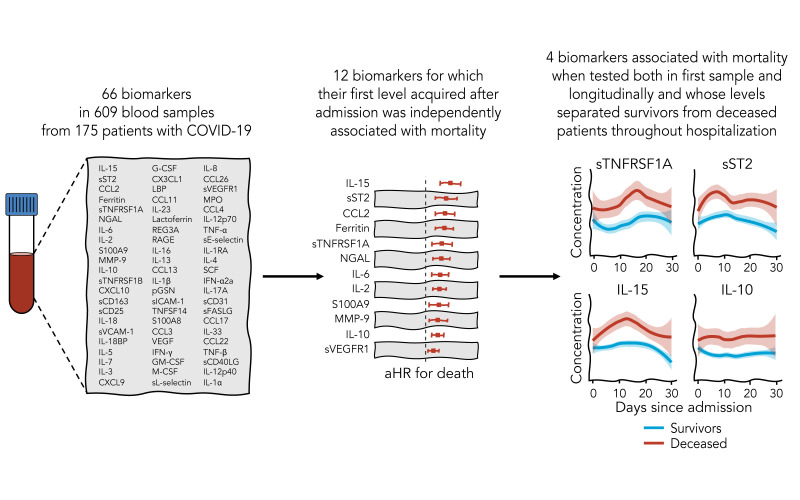 graphic file with name jciinsight-6-144455-g054.jpg