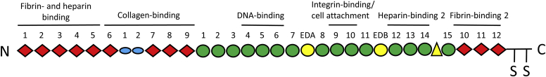 Figure 1