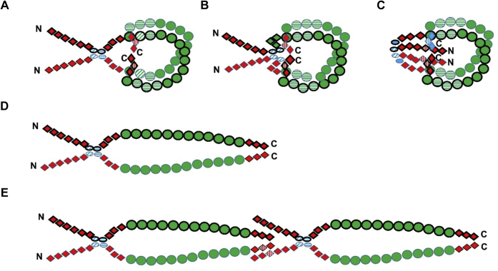 Figure 10