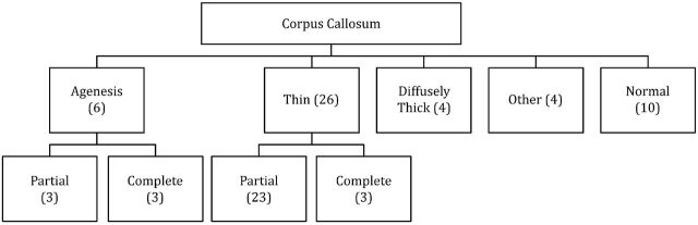 Fig 3.